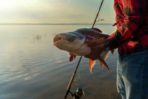 How to Catch Catfish